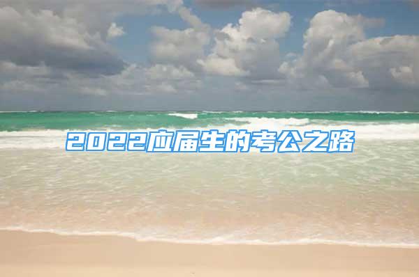 2022應屆生的考公之路