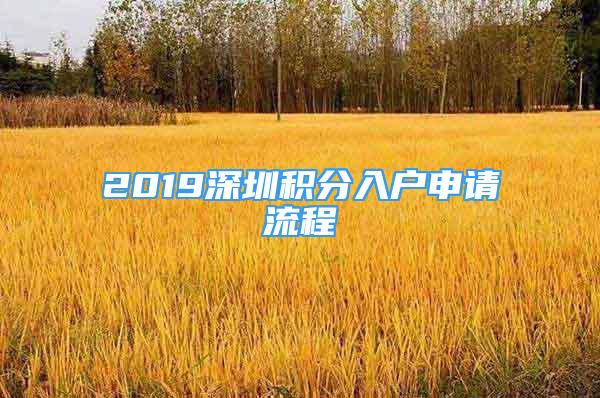 2019深圳積分入戶申請流程