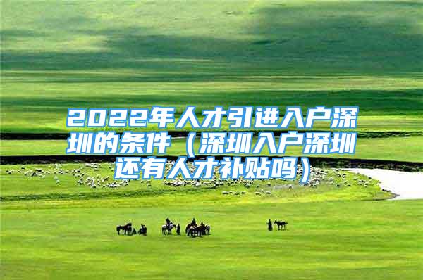 2022年人才引進入戶深圳的條件（深圳入戶深圳還有人才補貼嗎）