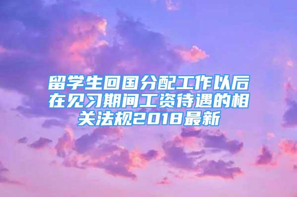 留學(xué)生回國(guó)分配工作以后在見(jiàn)習(xí)期間工資待遇的相關(guān)法規(guī)2018最新