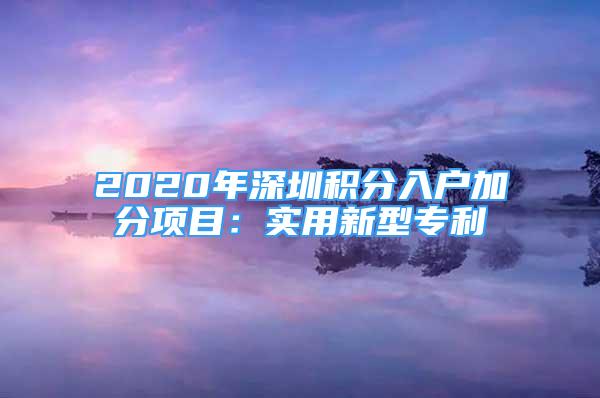 2020年深圳積分入戶加分項目：實用新型專利