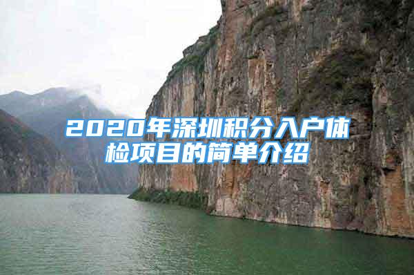 2020年深圳積分入戶體檢項(xiàng)目的簡單介紹