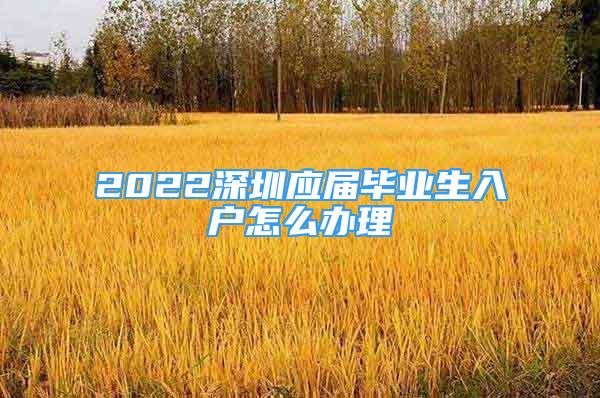 2022深圳應(yīng)屆畢業(yè)生入戶怎么辦理