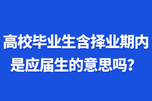 高校畢業(yè)生含擇業(yè)期內(nèi)是應(yīng)屆生的意思嗎？