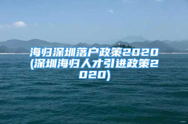 海歸深圳落戶政策2020(深圳海歸人才引進(jìn)政策2020)