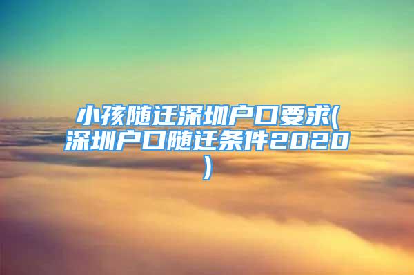 小孩隨遷深圳戶口要求(深圳戶口隨遷條件2020)