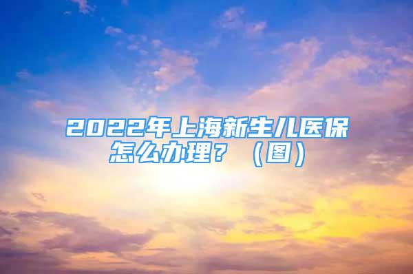 2022年上海新生兒醫(yī)保怎么辦理？（圖）