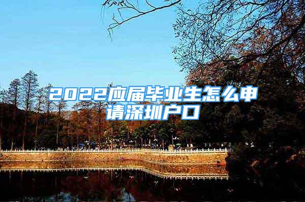 2022應屆畢業(yè)生怎么申請深圳戶口