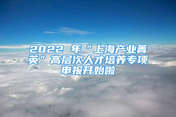 2022 年“上海產(chǎn)業(yè)菁英”高層次人才培養(yǎng)專項申報開始啦