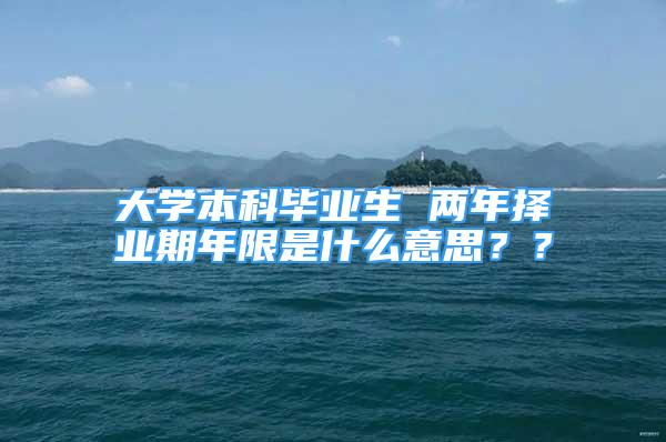 大學(xué)本科畢業(yè)生 兩年擇業(yè)期年限是什么意思？？