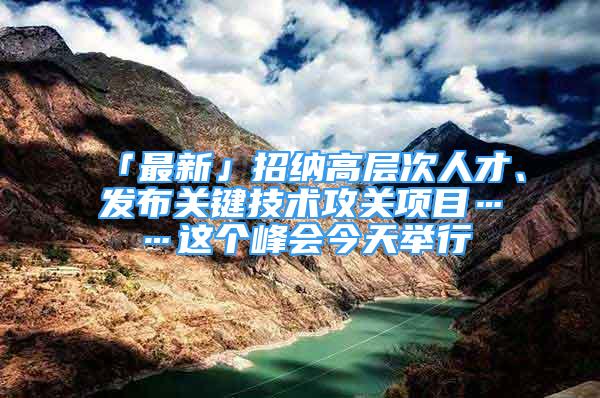 「最新」招納高層次人才、發(fā)布關(guān)鍵技術(shù)攻關(guān)項目……這個峰會今天舉行