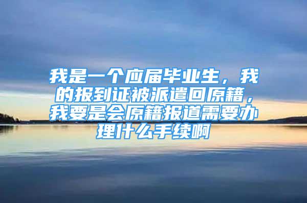 我是一個(gè)應(yīng)屆畢業(yè)生，我的報(bào)到證被派遣回原籍，我要是會(huì)原籍報(bào)道需要辦理什么手續(xù)啊