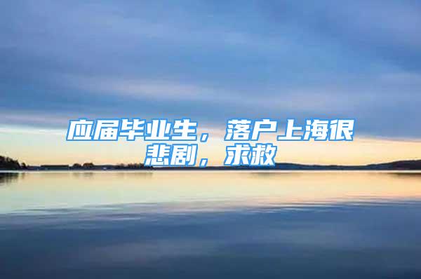 應(yīng)屆畢業(yè)生，落戶(hù)上海很悲劇，求救