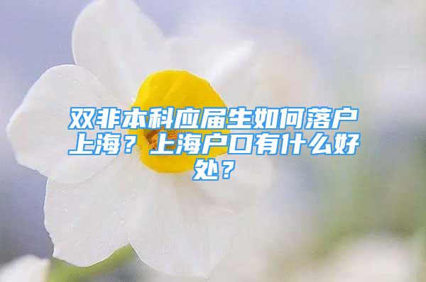 雙非本科應屆生如何落戶上海？上海戶口有什么好處？