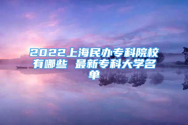 2022上海民辦專科院校有哪些 最新?？拼髮W(xué)名單