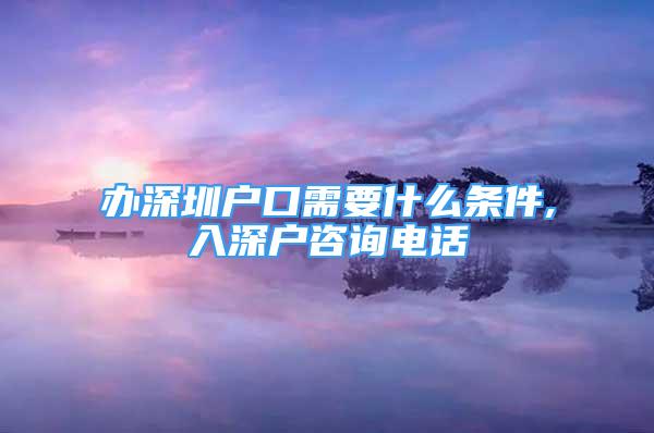 辦深圳戶口需要什么條件,入深戶咨詢電話