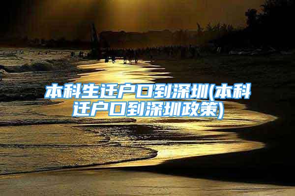 本科生遷戶口到深圳(本科遷戶口到深圳政策)