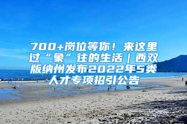 700+崗位等你！來這里過“象”往的生活｜西雙版納州發(fā)布2022年5類人才專項招引公告