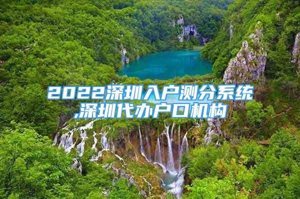 2022深圳入戶測分系統(tǒng),深圳代辦戶口機構(gòu)