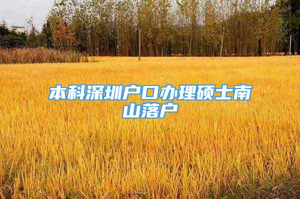 本科深圳戶口辦理碩士南山落戶