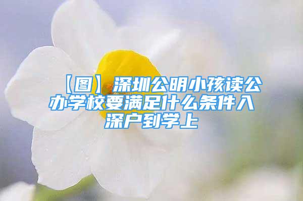 【圖】深圳公明小孩讀公辦學校要滿足什么條件入深戶到學上