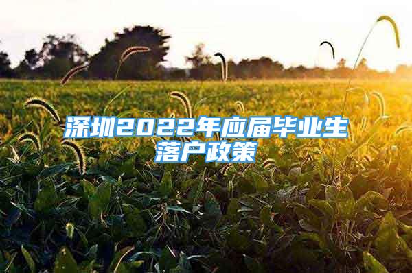 深圳2022年應屆畢業(yè)生落戶政策