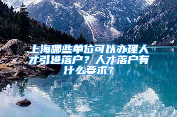 上海哪些單位可以辦理人才引進落戶？人才落戶有什么要求？