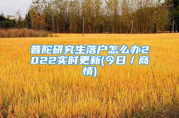 普陀研究生落戶怎么辦2022實(shí)時(shí)更新(今日／商情)