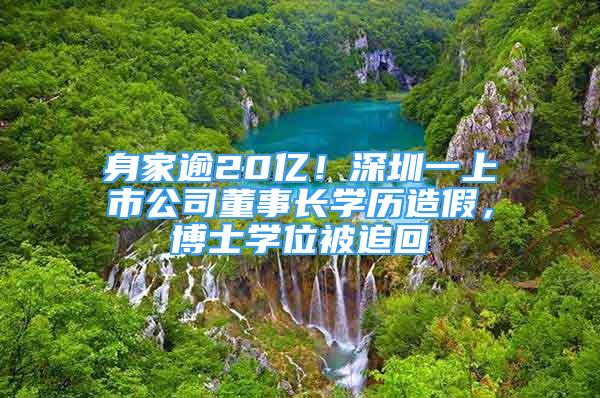 身家逾20億！深圳一上市公司董事長(zhǎng)學(xué)歷造假，博士學(xué)位被追回