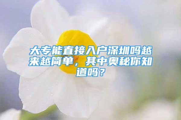 大專能直接入戶深圳嗎越來越簡單，其中奧秘你知道嗎？