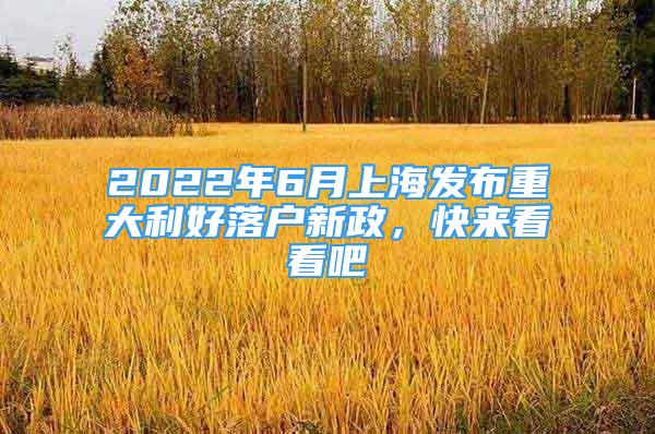 2022年6月上海發(fā)布重大利好落戶新政，快來看看吧