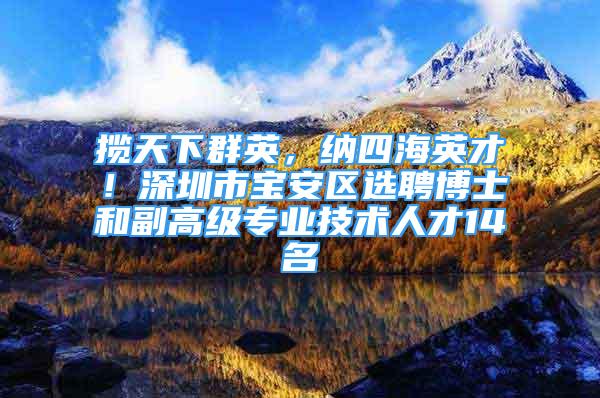 攬?zhí)煜氯河?，納四海英才！深圳市寶安區(qū)選聘博士和副高級專業(yè)技術(shù)人才14名