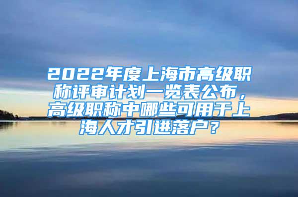 2022年度上海市高級職稱評審計(jì)劃一覽表公布，高級職稱中哪些可用于上海人才引進(jìn)落戶？