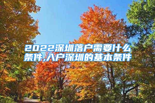 2022深圳落戶需要什么條件,入戶深圳的基本條件