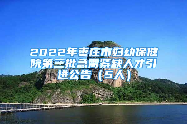 2022年棗莊市婦幼保健院第三批急需緊缺人才引進(jìn)公告（5人）