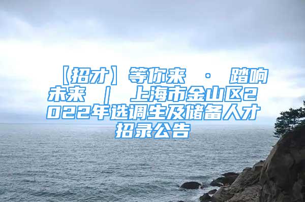 【招才】等你來 · 踏響未來 ｜ 上海市金山區(qū)2022年選調生及儲備人才招錄公告