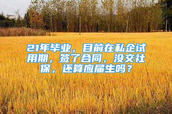 21年畢業(yè)，目前在私企試用期，簽了合同，沒交社保，還算應(yīng)屆生嗎？