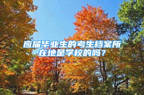 應(yīng)屆畢業(yè)生的考生檔案所在地是學校的嗎？