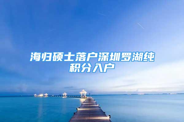 海歸碩士落戶深圳羅湖純積分入戶