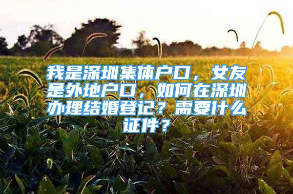 我是深圳集體戶口，女友是外地戶口，如何在深圳辦理結(jié)婚登記？需要什么證件？