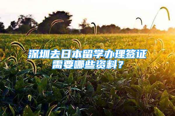 深圳去日本留學(xué)辦理簽證需要哪些資料？