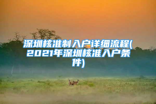 深圳核準(zhǔn)制入戶詳細(xì)流程(2021年深圳核準(zhǔn)入戶條件)