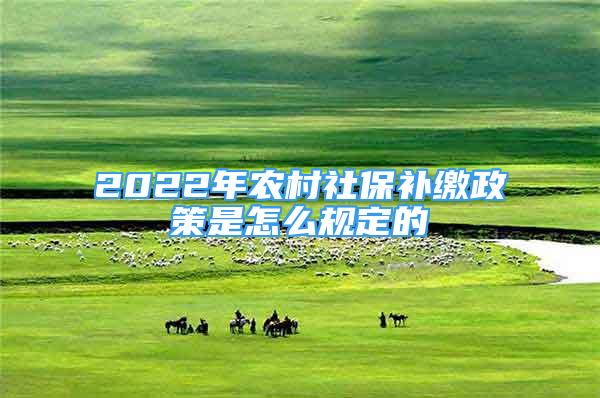 2022年農(nóng)村社保補(bǔ)繳政策是怎么規(guī)定的