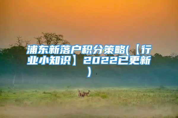 浦東新落戶積分策略(【行業(yè)小知識(shí)】2022已更新)