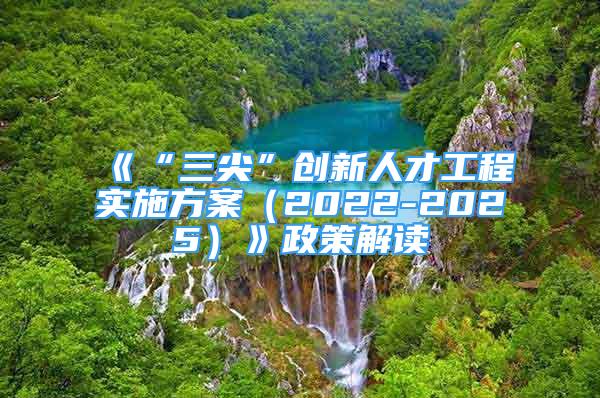 《“三尖”創(chuàng)新人才工程實(shí)施方案（2022-2025）》政策解讀