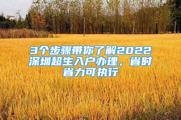 3個步驟帶你了解2022深圳超生入戶辦理，省時省力可執(zhí)行