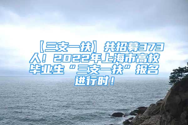 【三支一扶】共招募373人！2022年上海市高校畢業(yè)生“三支一扶”報名進行時！