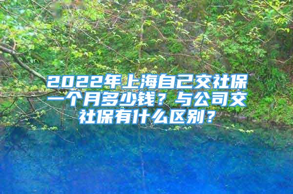 2022年上海自己交社保一個(gè)月多少錢？與公司交社保有什么區(qū)別？