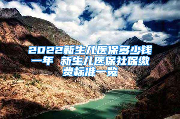 2022新生兒醫(yī)保多少錢(qián)一年 新生兒醫(yī)保社保繳費(fèi)標(biāo)準(zhǔn)一覽