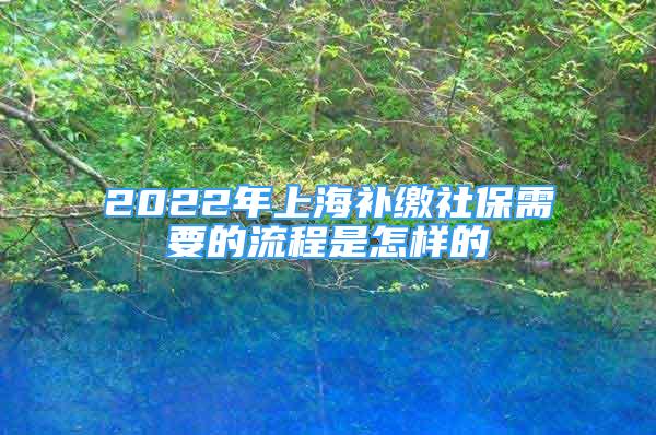 2022年上海補繳社保需要的流程是怎樣的